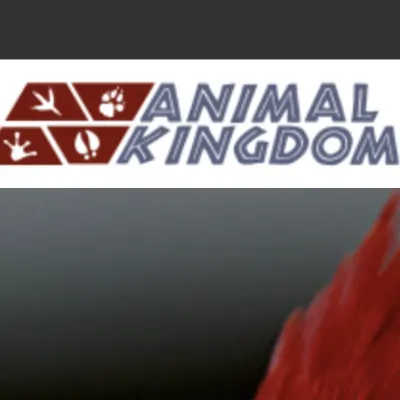 Animal Kingdom Veterinary Hospital