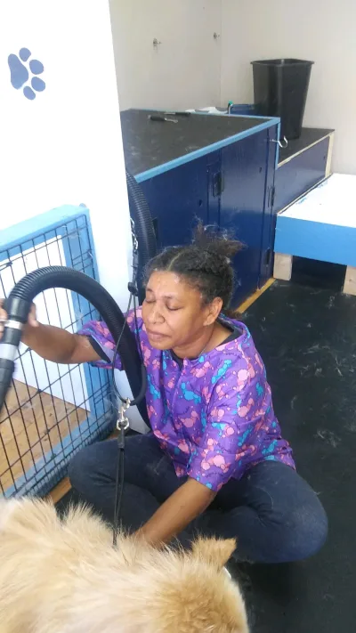 Petco