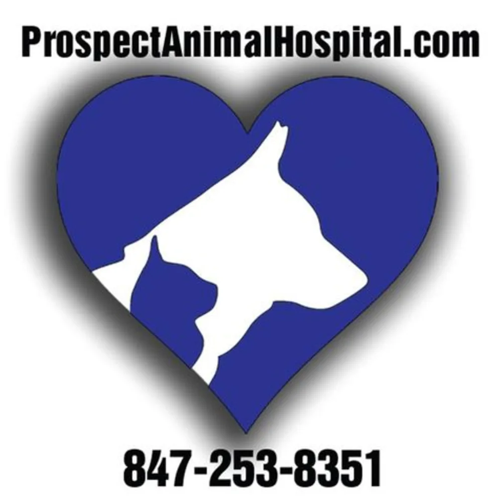 Prospect Animal Hospital