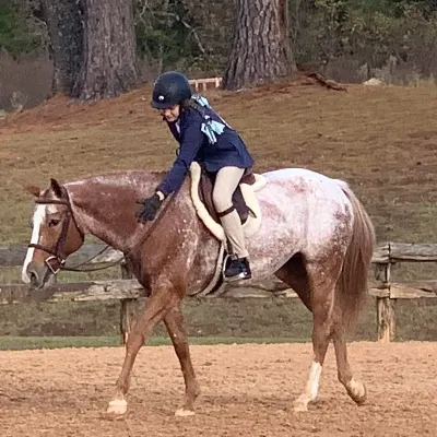 Whitehedge Farm :  Hunter/Jumper Horseback Riding Lessons