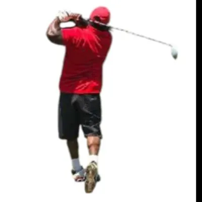 Maestro Golf