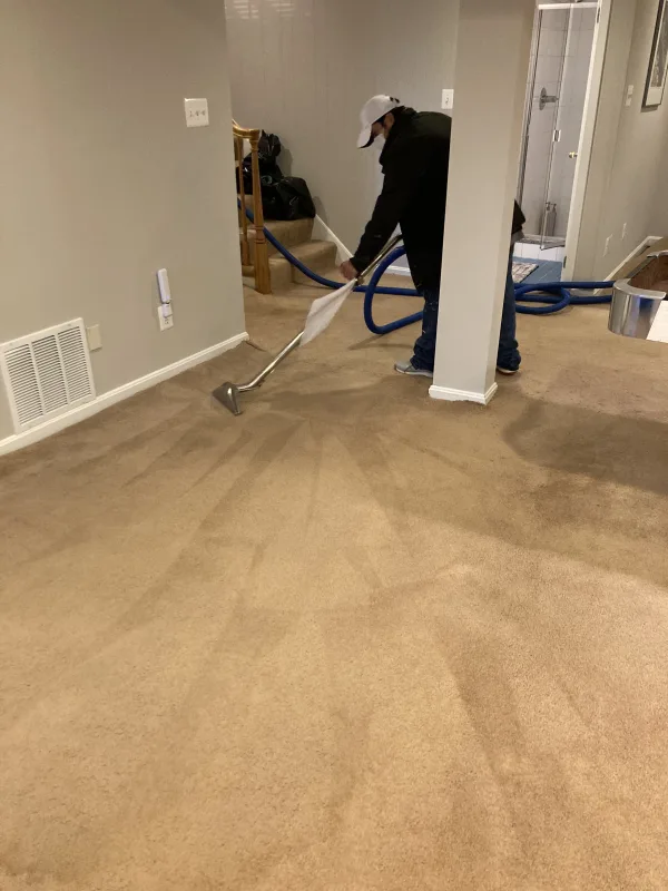 Carpet Cleaning