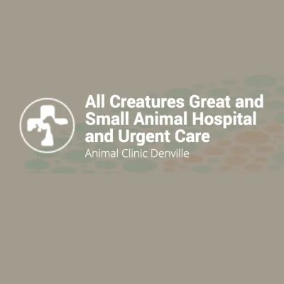 All Creatures Great And Small Animal Hospital And Urgent Care