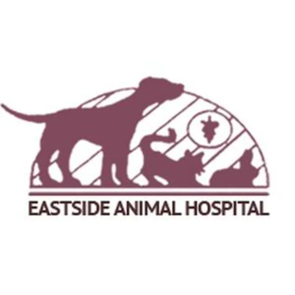 Eastside Animal Hospital