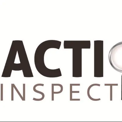 Action 1 Inspections Llc