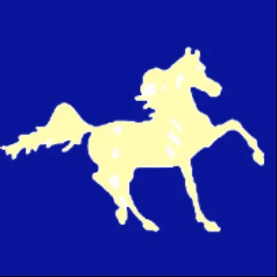 Castle Rock Arabians