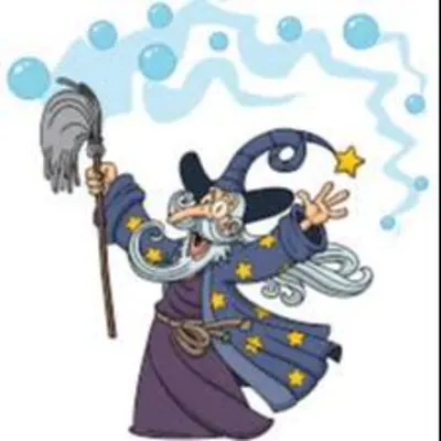 Wizard Cleaning And Organization 