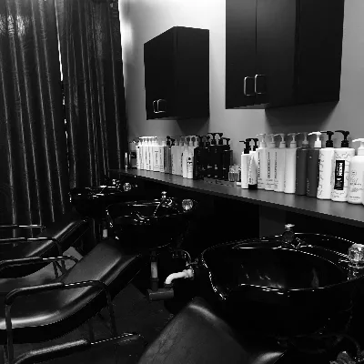 The Studio Salon, A Paul Mitchel Focus Salon
