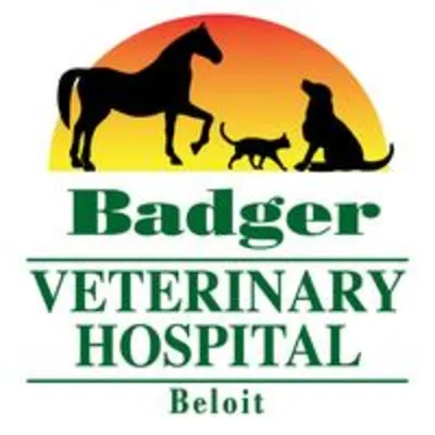 Badger Veterinary Hospital