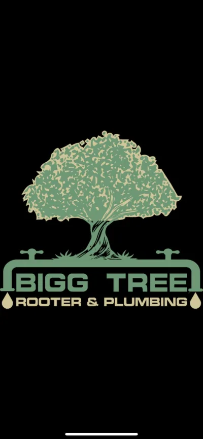 Bigg Tree Rooter & Plumbing 