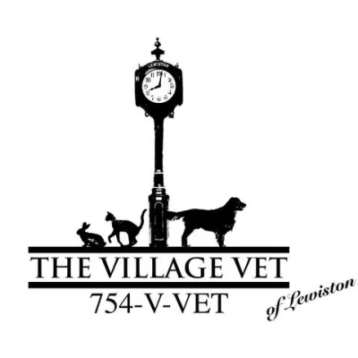 The Village Vet Of Lewiston