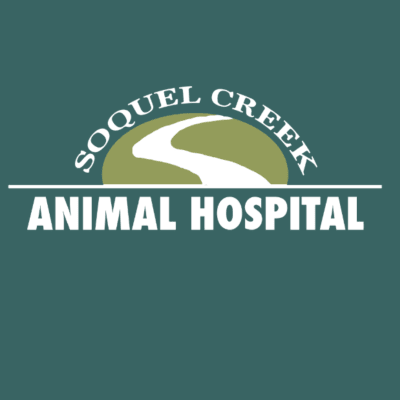 Soquel Creek Animal Hospital