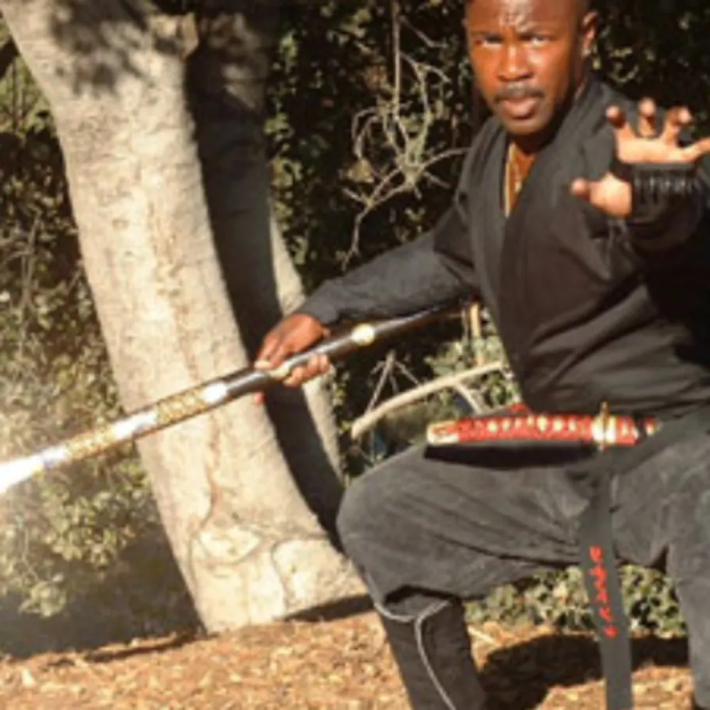 American Ninjutsu Warrior Concepts