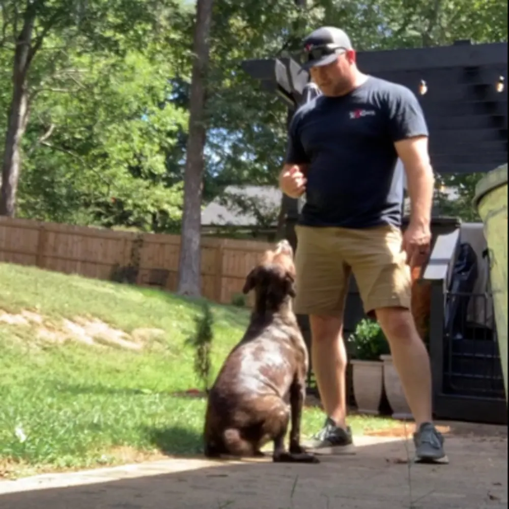 Pro K9 Coach LLC