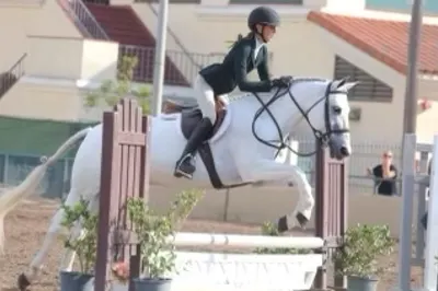 Kris Sweeney Equestrian