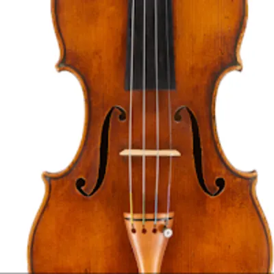 Mimi Fung De Lemos Violin Studio