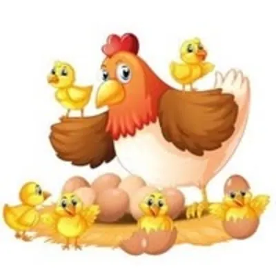 Tiny Peeps Child Care LLC