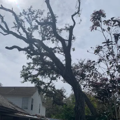Superior Tree Work Llc