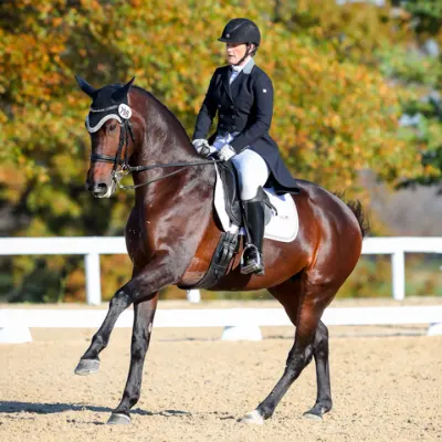 Annwyn Equestrian Center