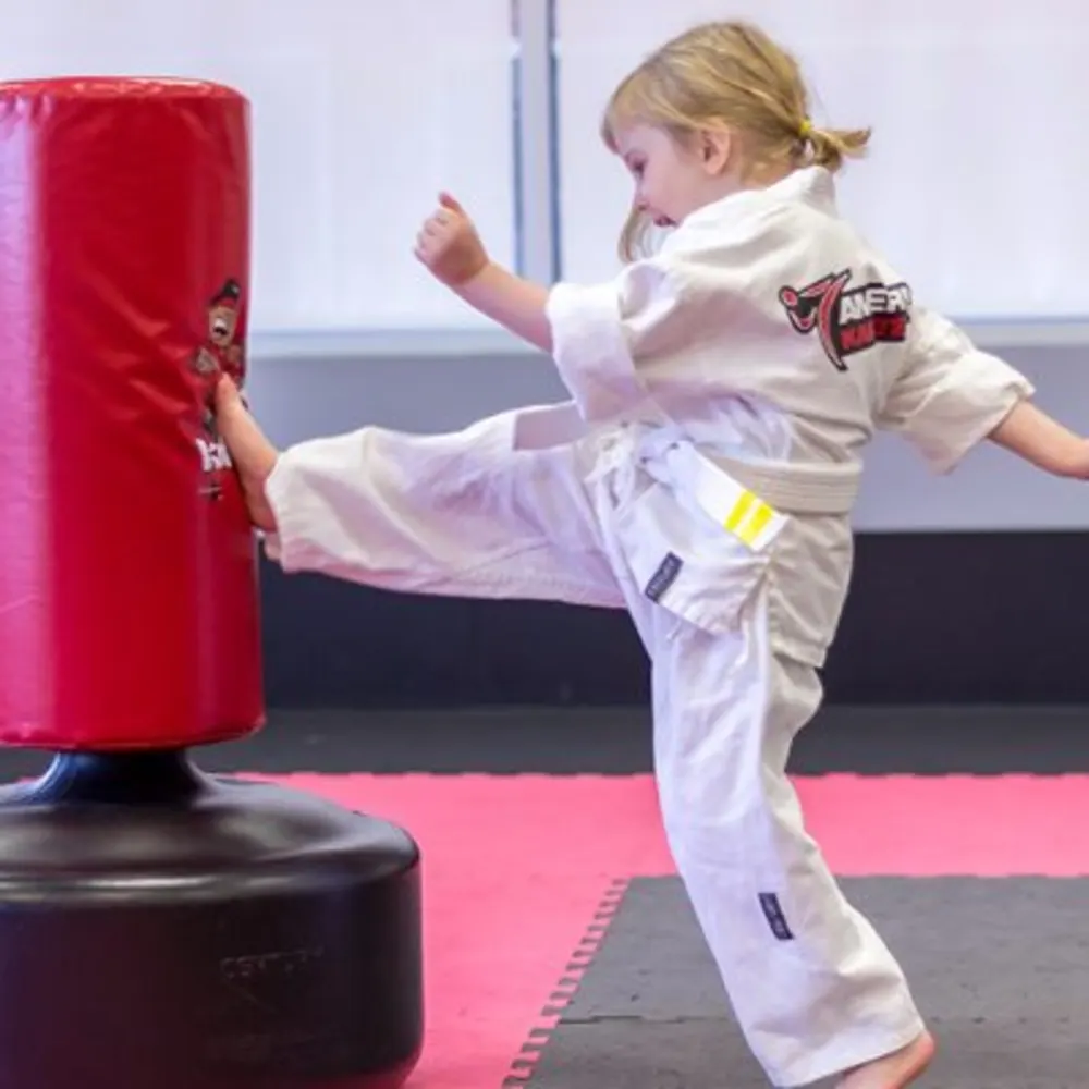 American Karate