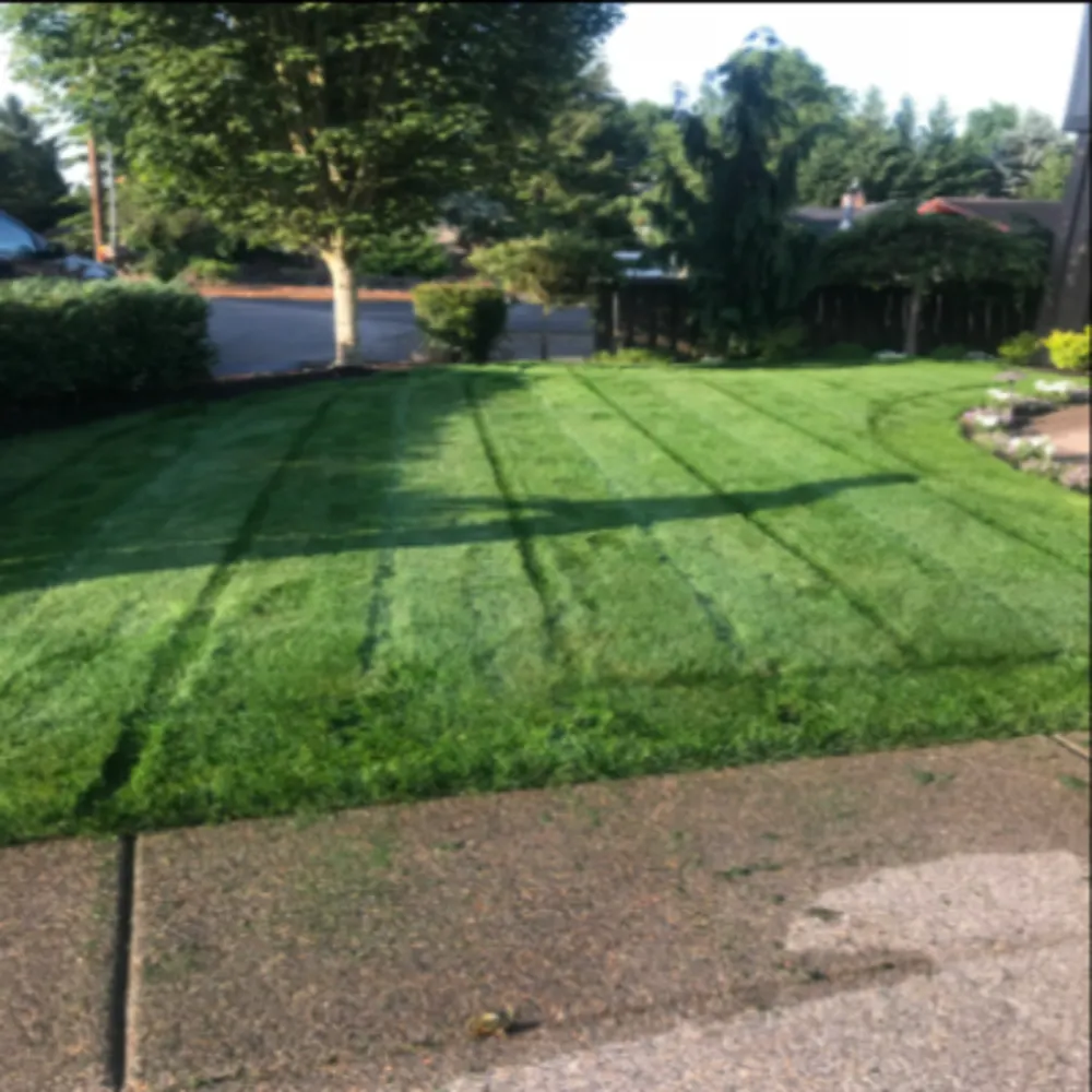 Avendano Lawncare LLC