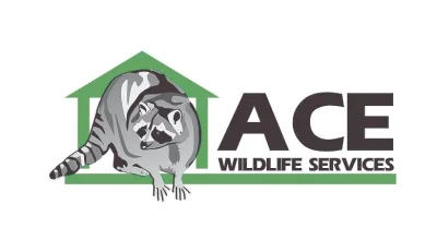 Ace Wildlife Service