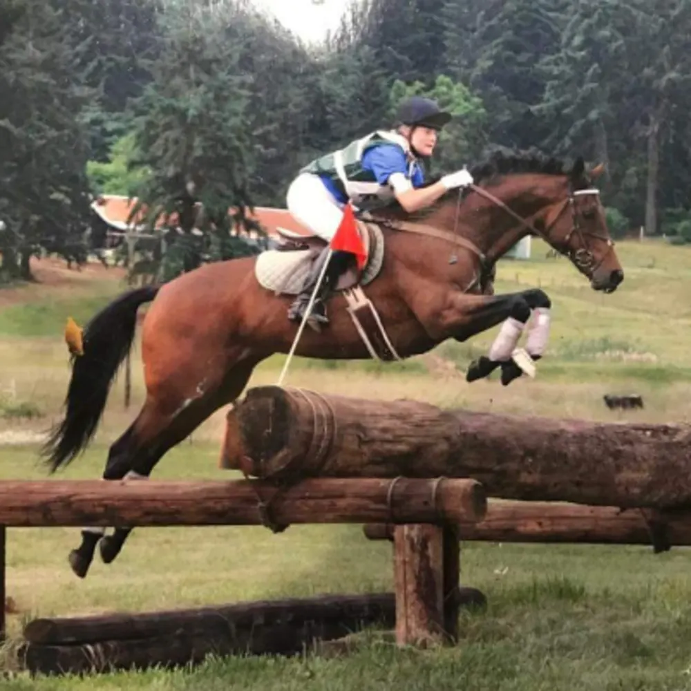 Gamble Creek Stables