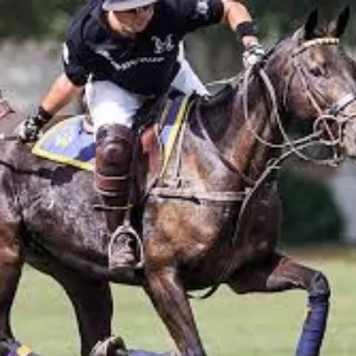 Wrightwaypolo