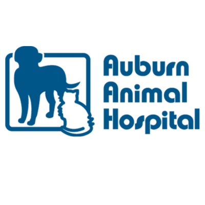 Auburn Animal Hospital