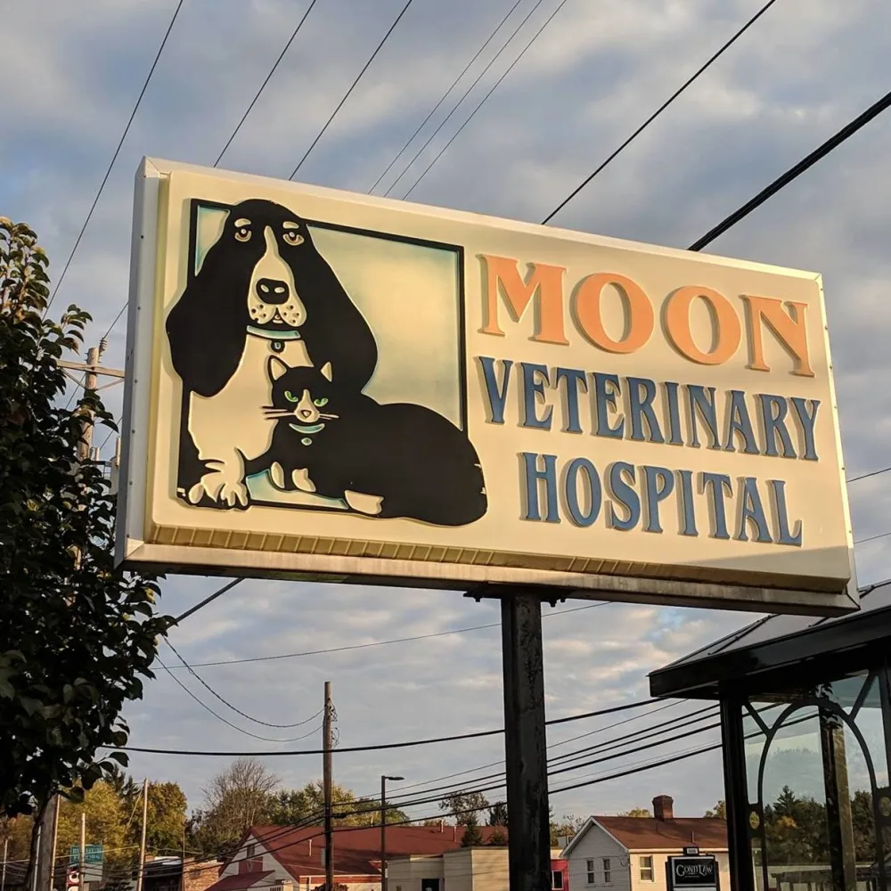 Moon Veterinary Hospital