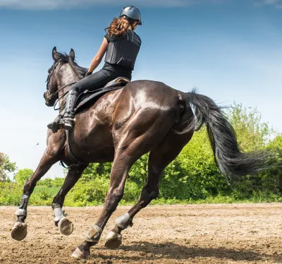 Major Lane Stables