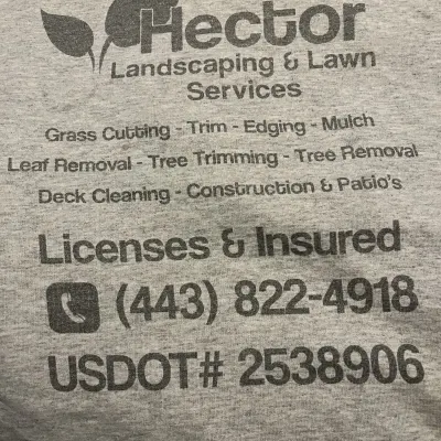 Hector Landscaping