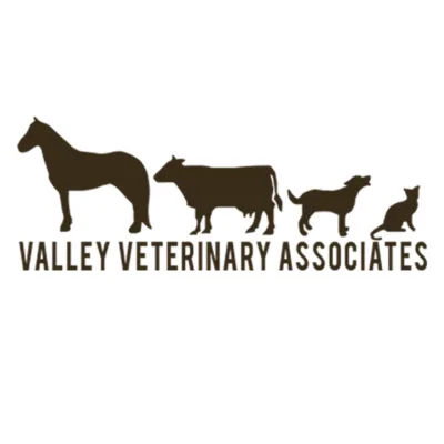 Valley Veterinary Associates