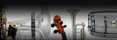 Lunsford's Musical Instruments