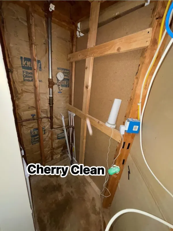 Closet move out cleaning Closet