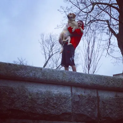 Matt's Dog Sitting
