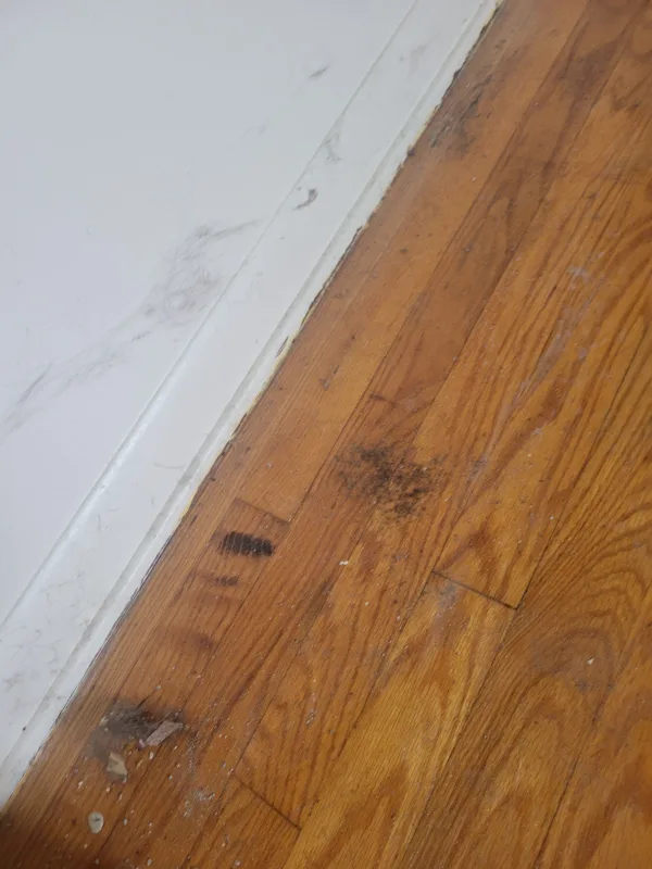 Before