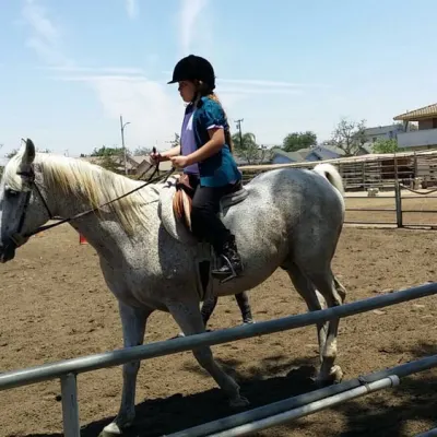 Lakewood Equestrian Center