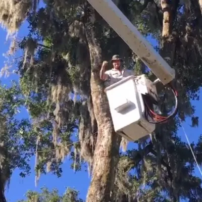 XPRESS TREE SERVICES LLC