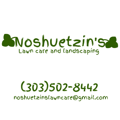 Noshuetzin's Lawncare And Landscaping