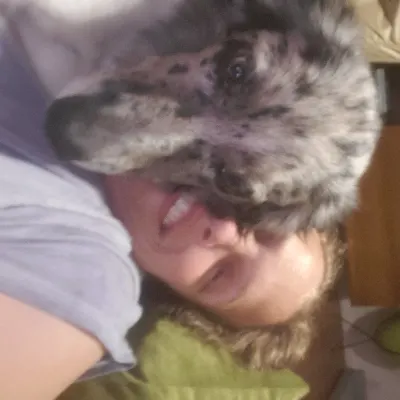 Lola's Pet Sitting Services