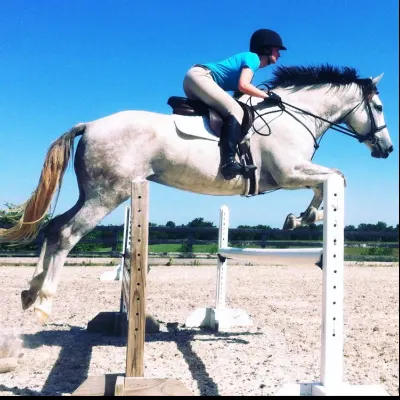 Jen Taylor Hunter/Jumper And Eventing Jumping Lessons