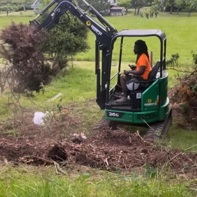 Will Power Clearing And Excavation 