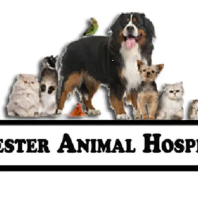 Chester Animal Hospital