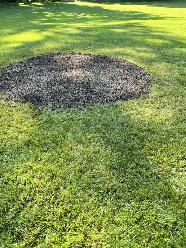 soil and seed