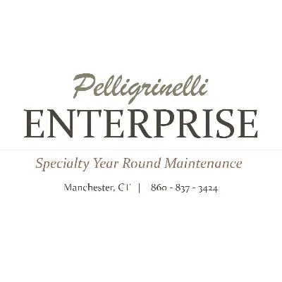Pelligrinelli Enterprise