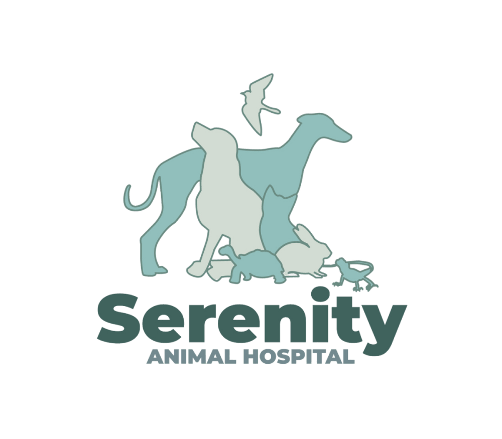Serenity Animal Hospital