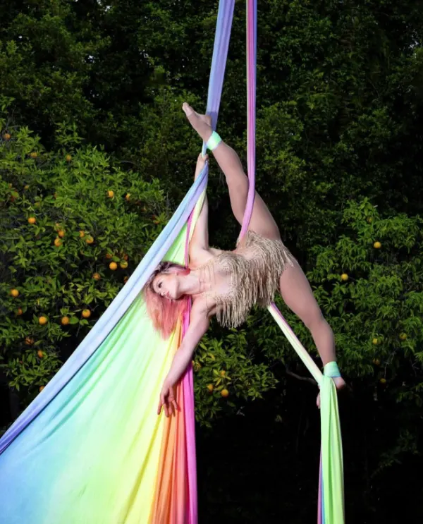 Aerial Silks