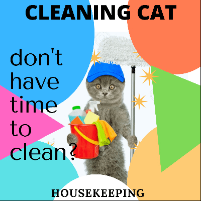 CLEANING CAT