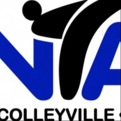 Nta Taekwondo- Colleyville